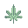 life cannabis leaf